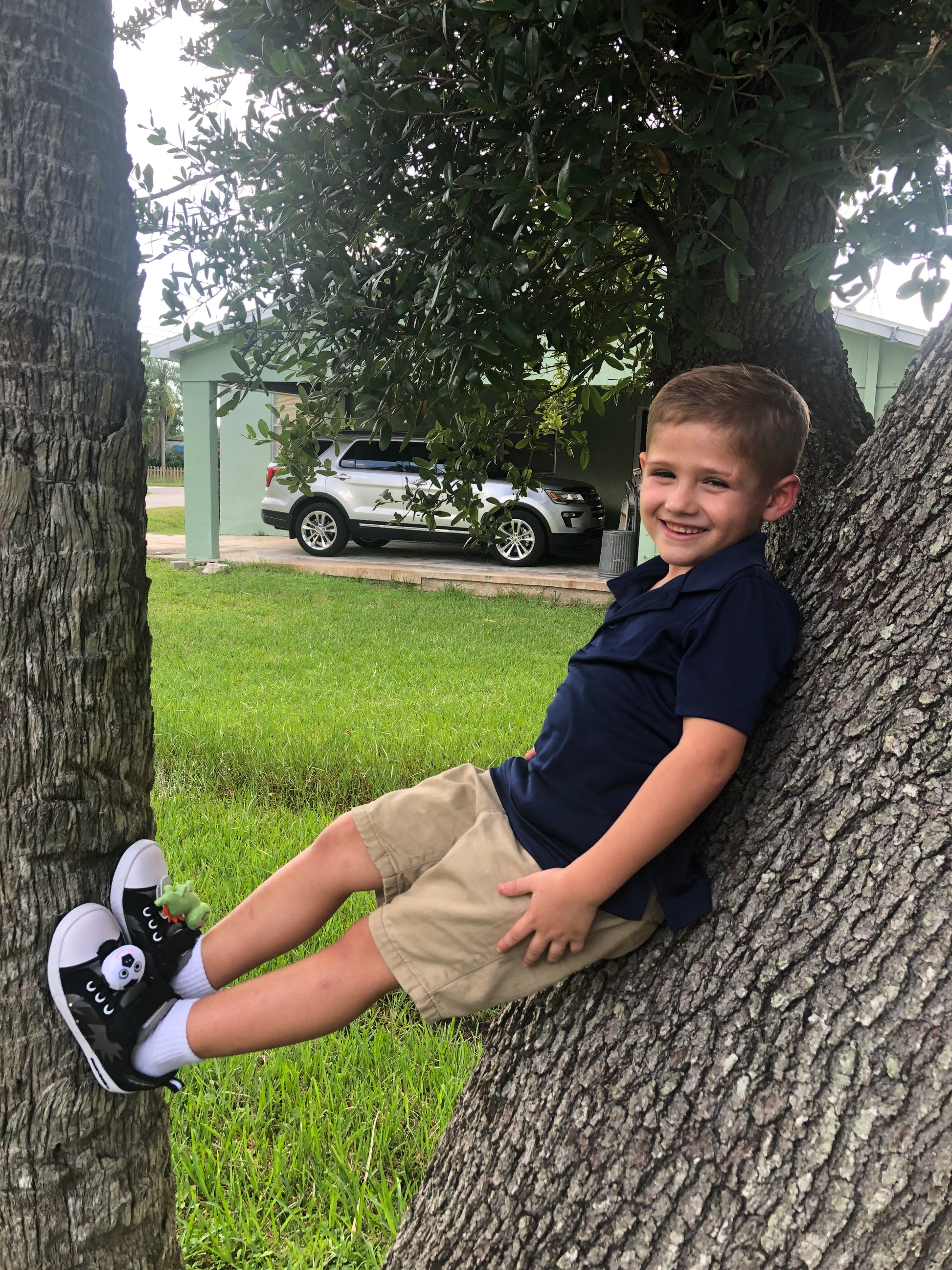 Child standing on a tree branch with a car and house in the background